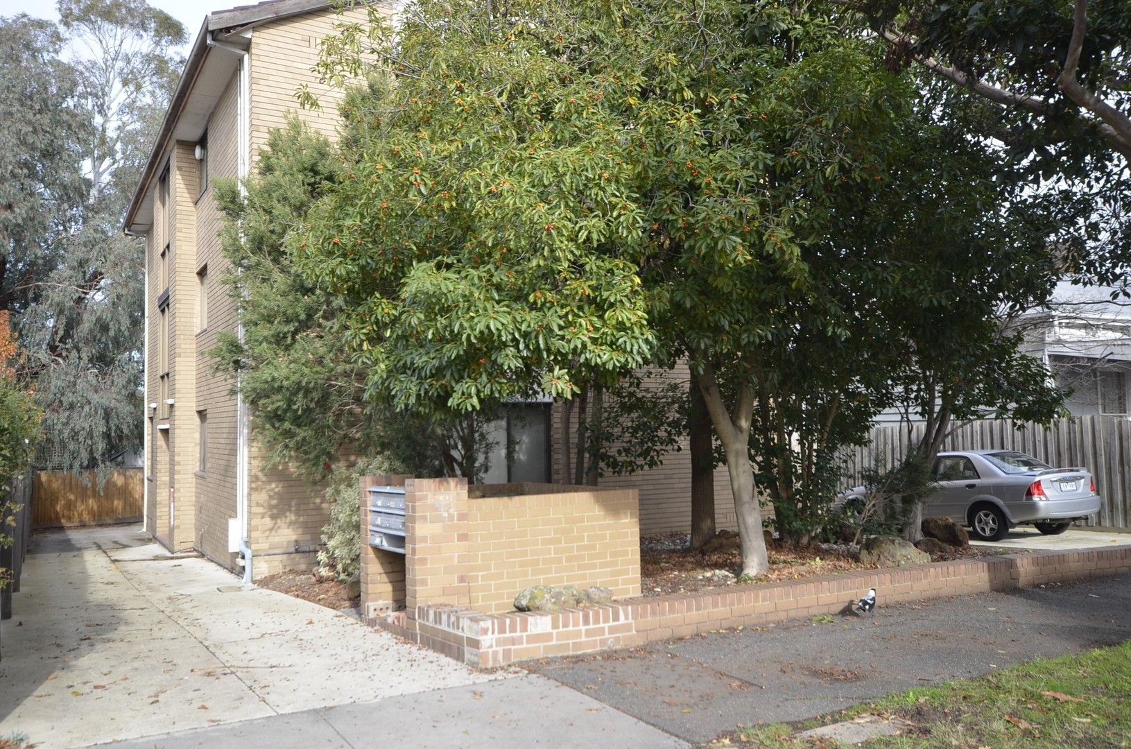 5/42 Connell Street, Hawthorn VIC 3122 Apartment For Rent 460 Domain