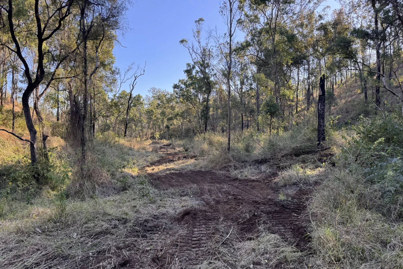 Image 12