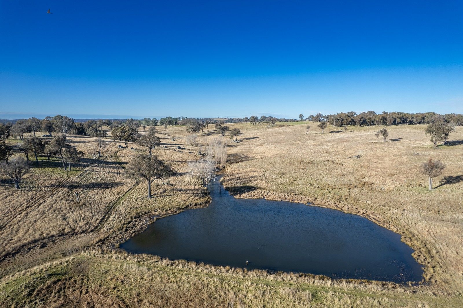 5 bedrooms Rural in 1751 Wheeo Road CROOKWELL NSW, 2583