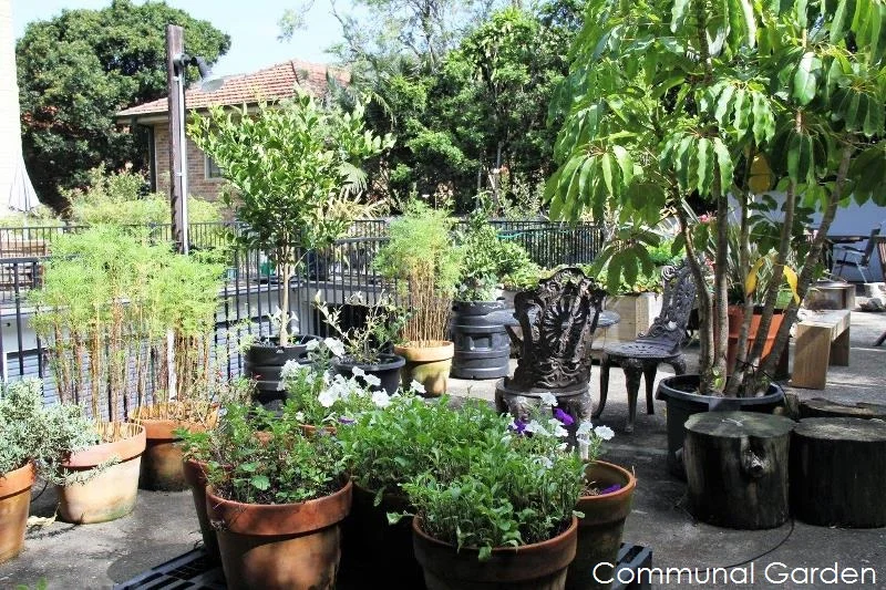 Additional image 7 of 6/91 Queenscliff Road, Queenscliff NSW 2096