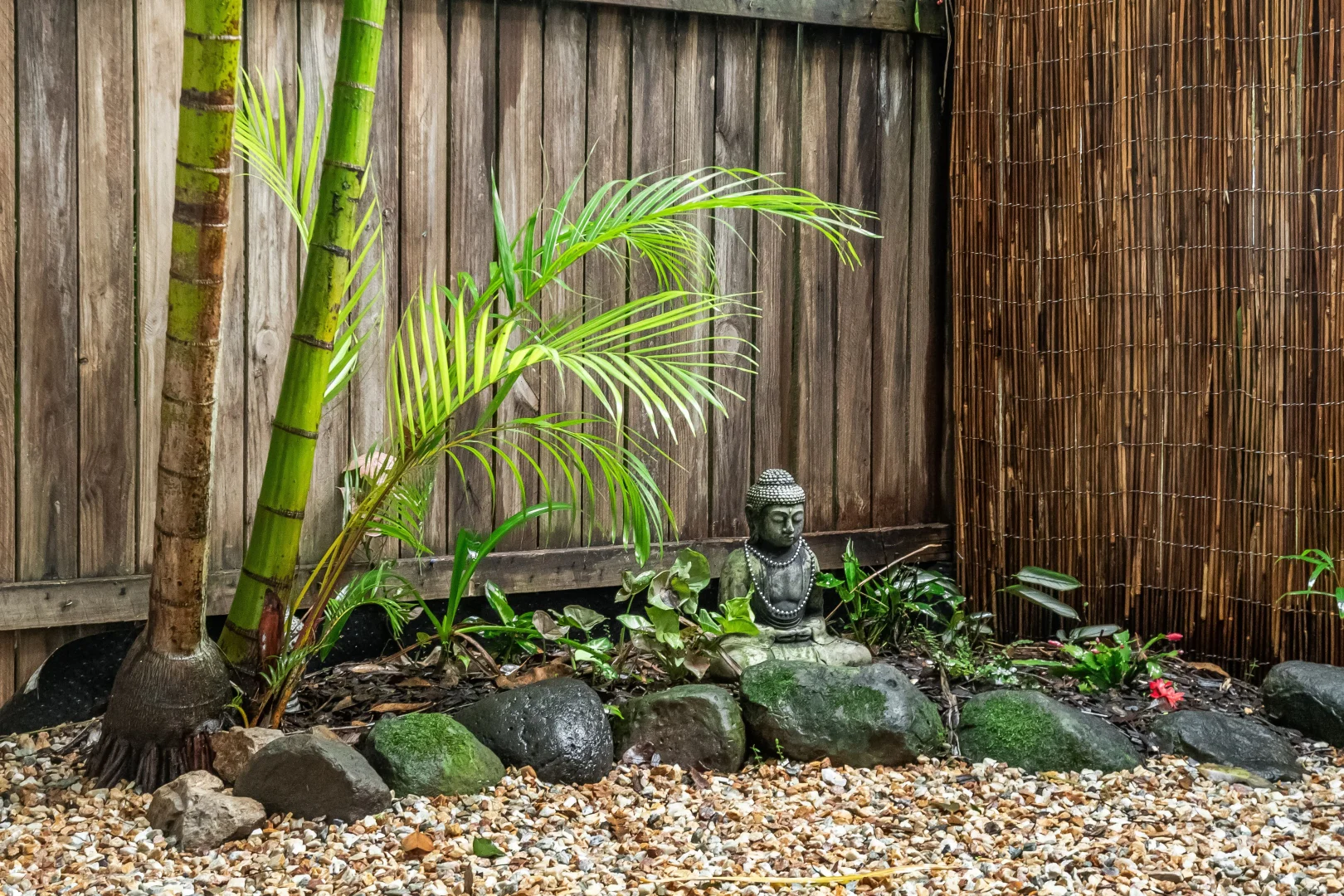 Image 14