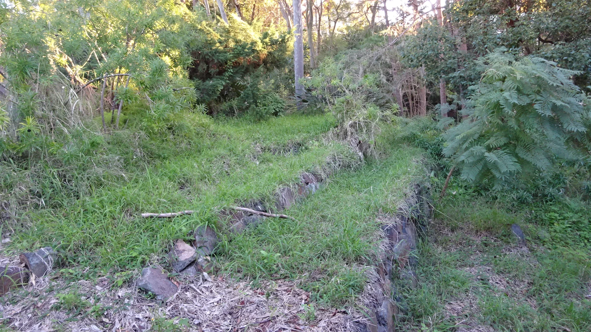 Image 7