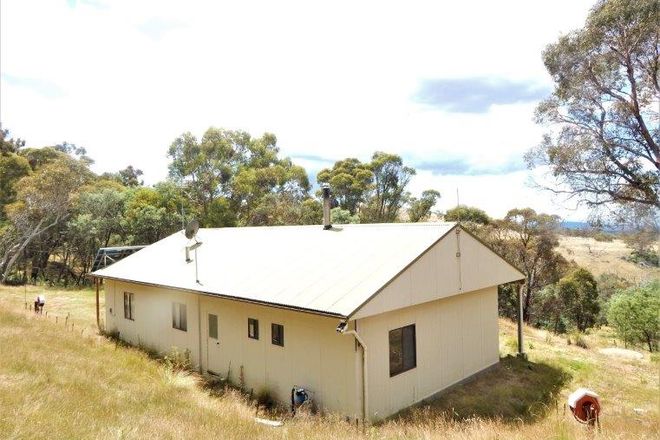 Picture of 2072 Dry Plains Road, DRY PLAIN NSW 2630