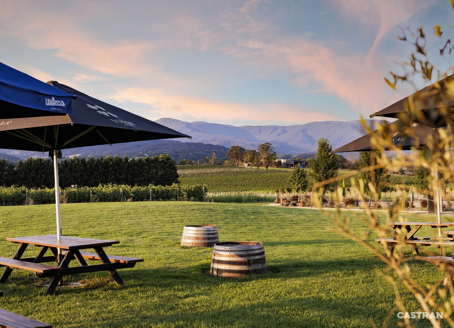 Additional image 18 of 6 Maddens Lane, Coldstream VIC 3770