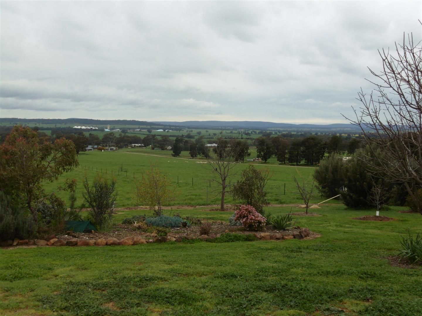 224 Back Yamma Road, Parkes NSW 2870, Image 2