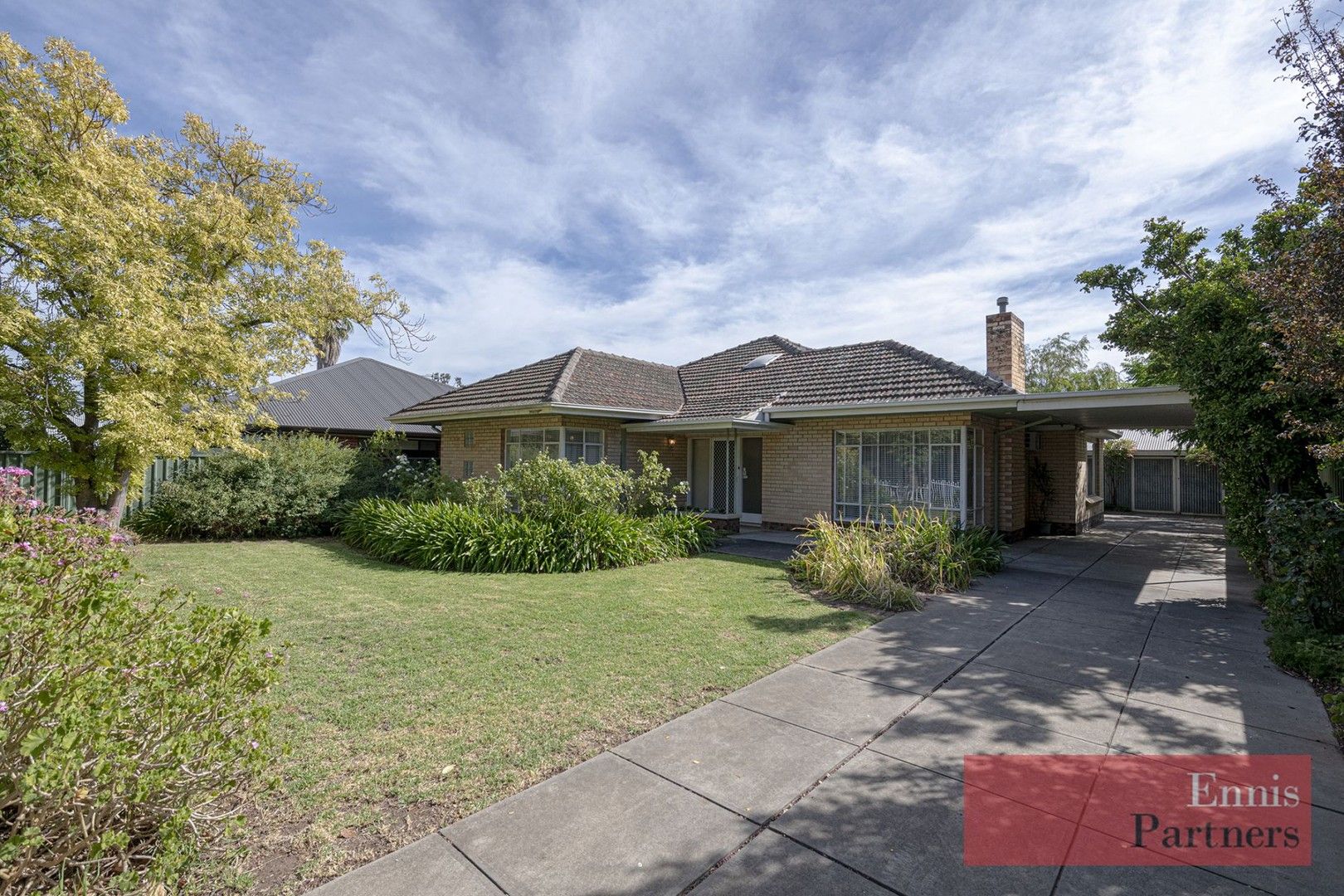 12 Hooking Avenue, Royston Park SA 5070, Image 0