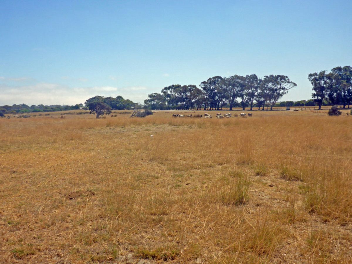 Lot 4 Stearne Road, Monjingup WA 6450, Image 2