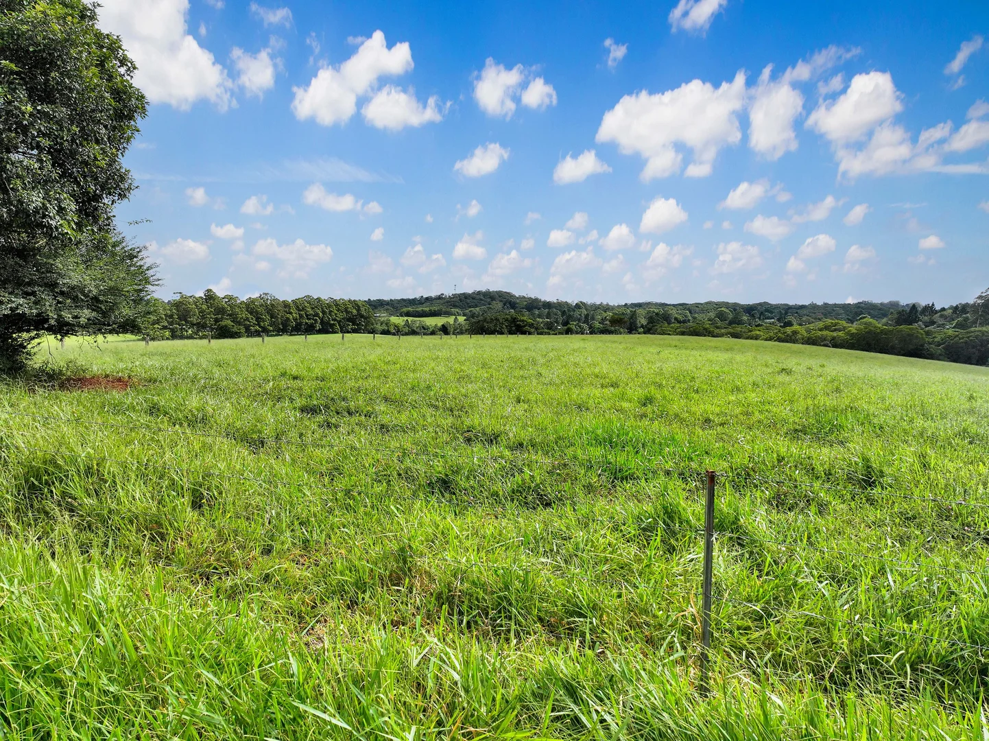 Additional image 16 of Lot 2 Lake Barrine Road, Lake Eacham QLD 4884