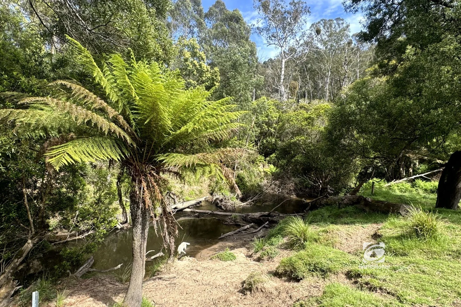 Image 22