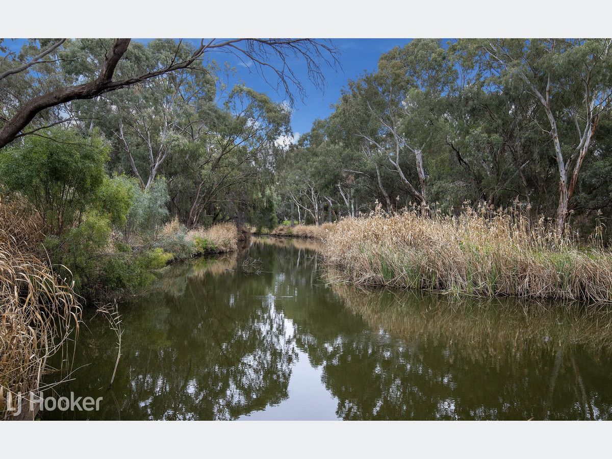 2B Anthus Street, Lockleys SA 5032, Image 2