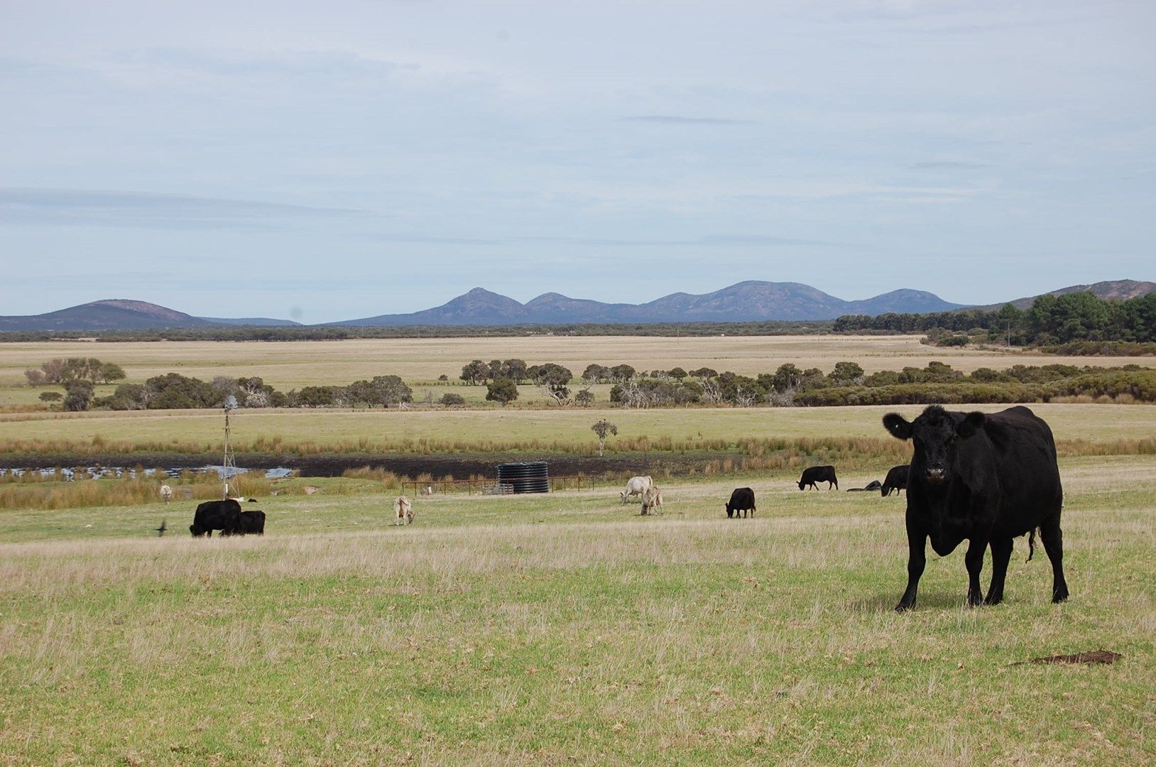 Merivale Road, Esperance WA 6450, Image 1