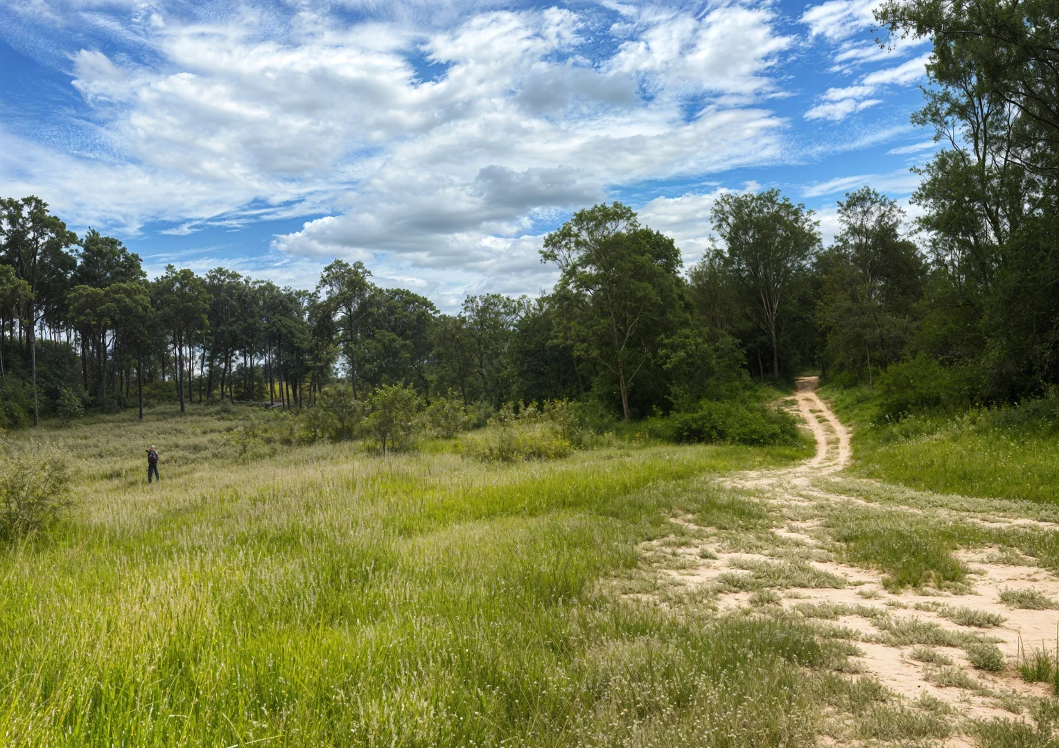 Additional image 9 of 123-207 MOCKER ROAD, South Ripley QLD 4306