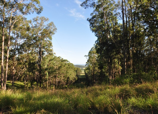 718 Pipers Creek Road, Dondingalong NSW 2440