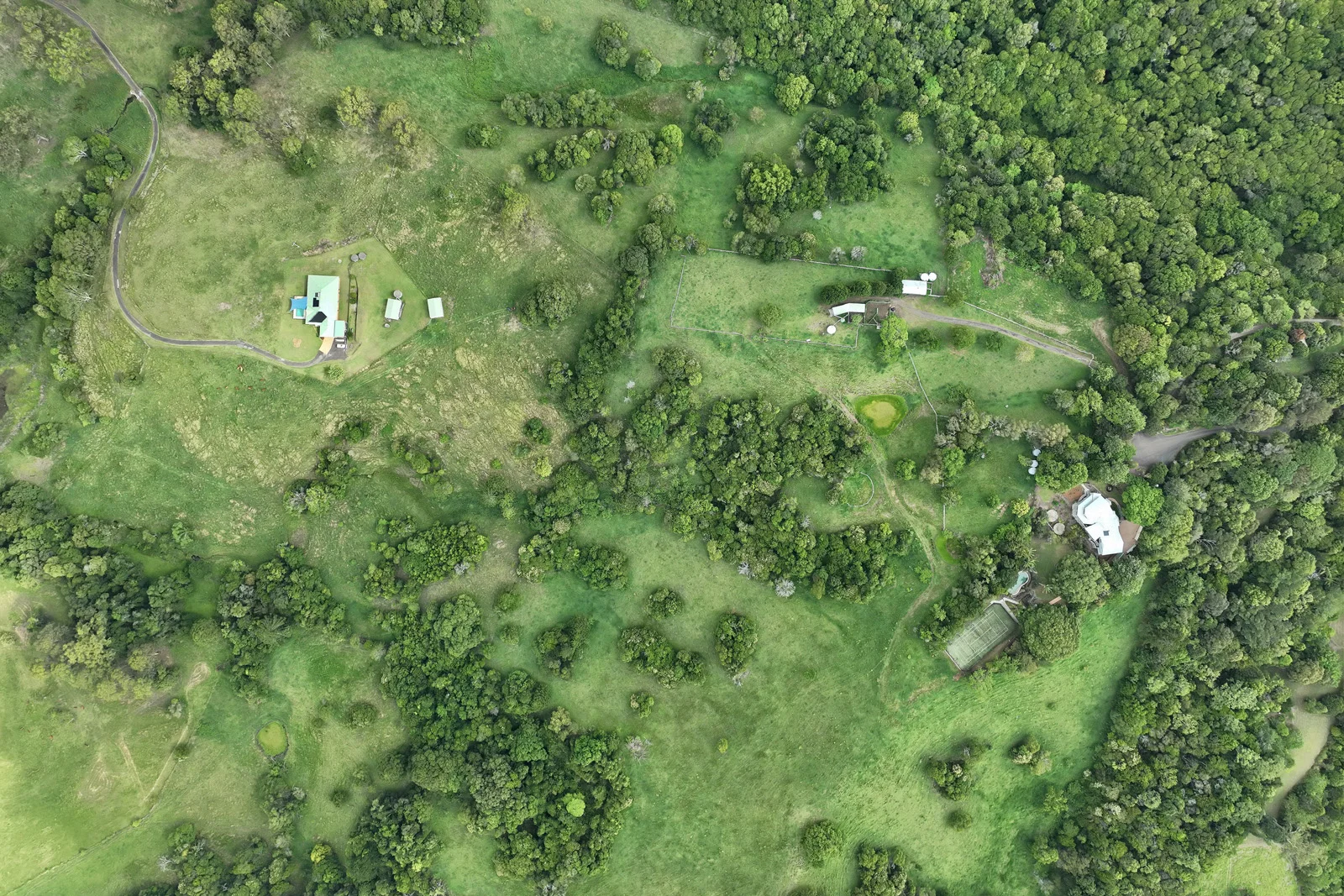 Image 15