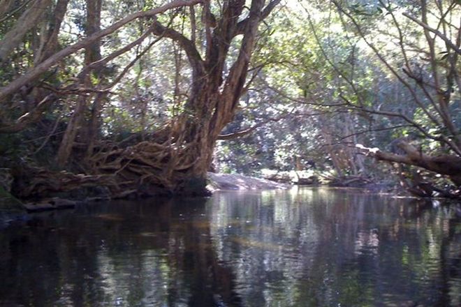 Picture of DOYLES RIVER NSW 2446