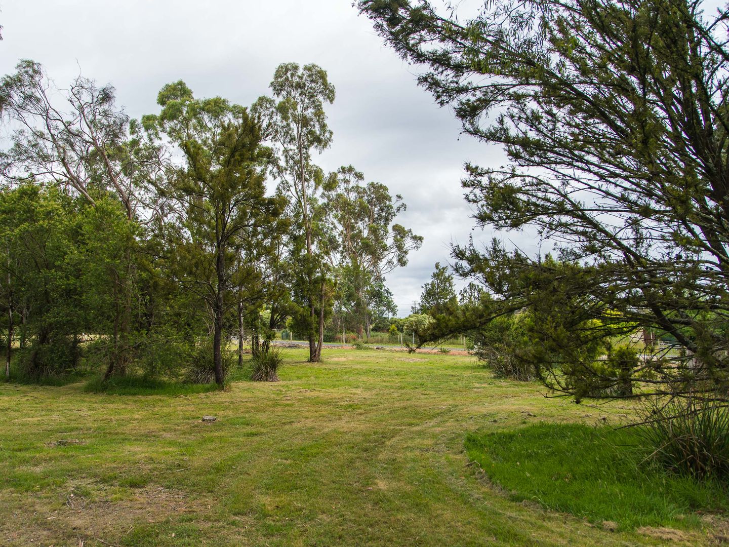 194 Freshwater Point Road, Legana TAS 7277, Image 2