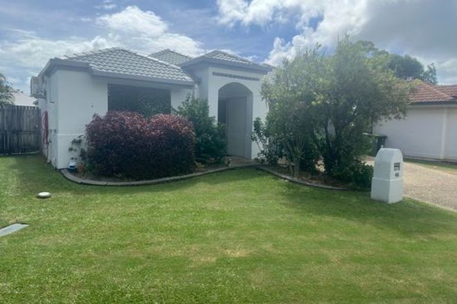 Picture of 46 Serafina drive, HELENSVALE QLD 4212