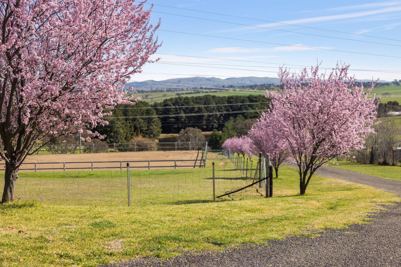 4 Shearsby Crescent, Yass NSW 2582 House for Sale Domain
