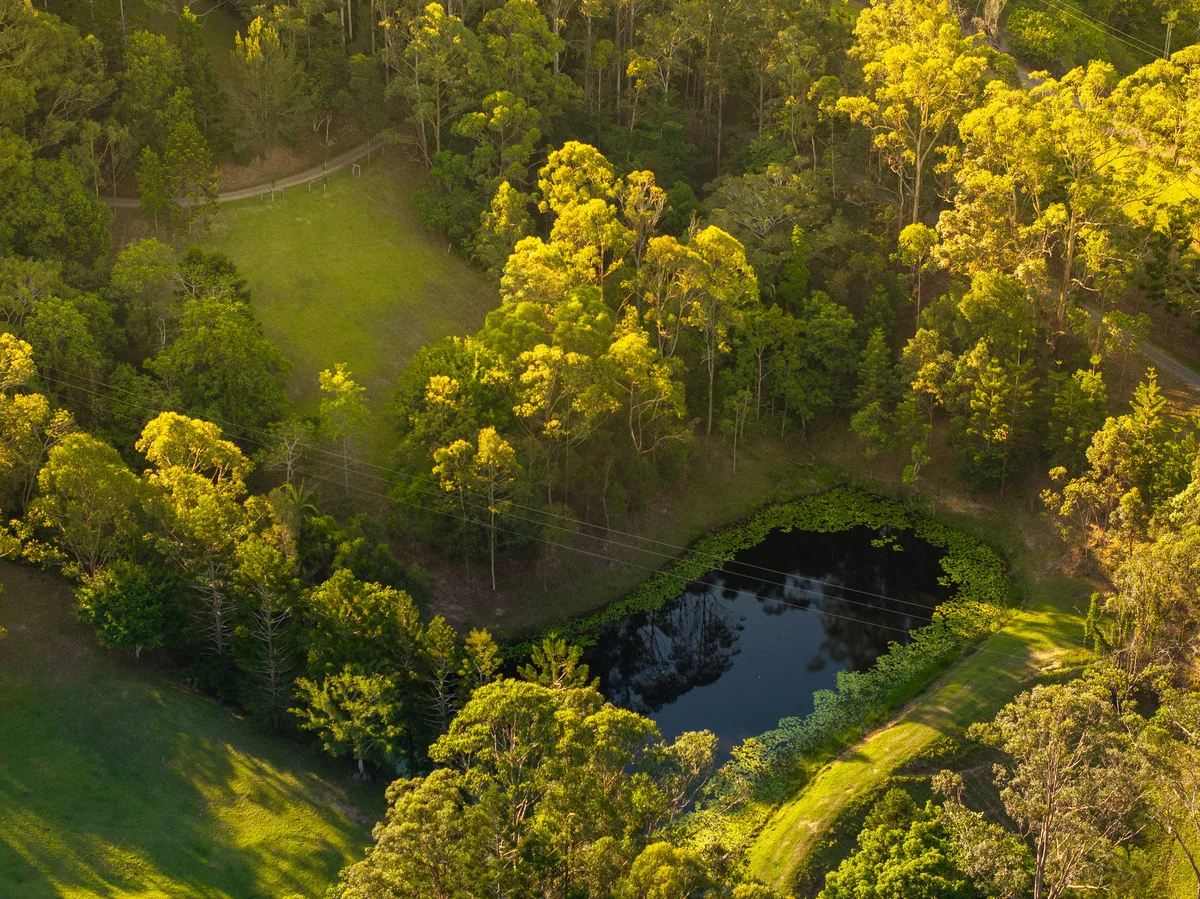 Additional image 34 of 79 Isambert Road, Glenview QLD 4553