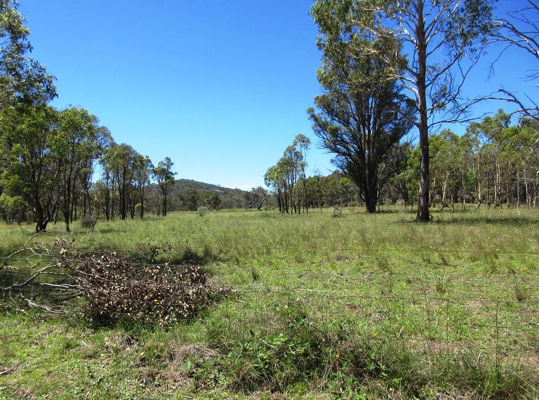 Lot 16 499 Balala Road, Uralla NSW 2358, Image 0