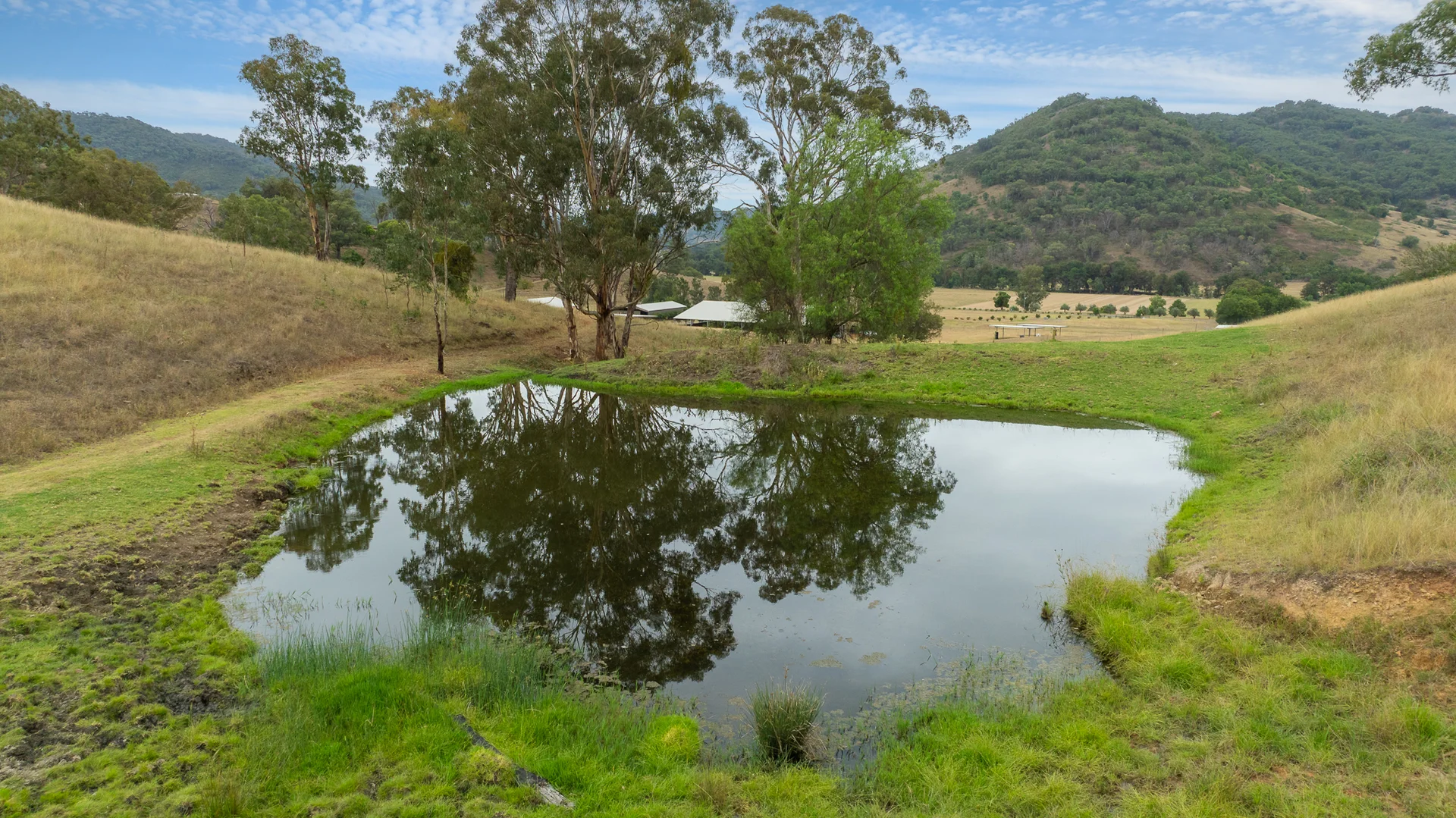 Additional image 32 of 1664 Ogunbil Road, Ogunbil NSW 2340