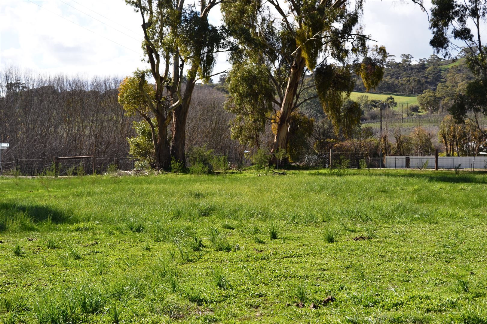 Lot 241 Dame Street, Armagh SA 5453, Image 2