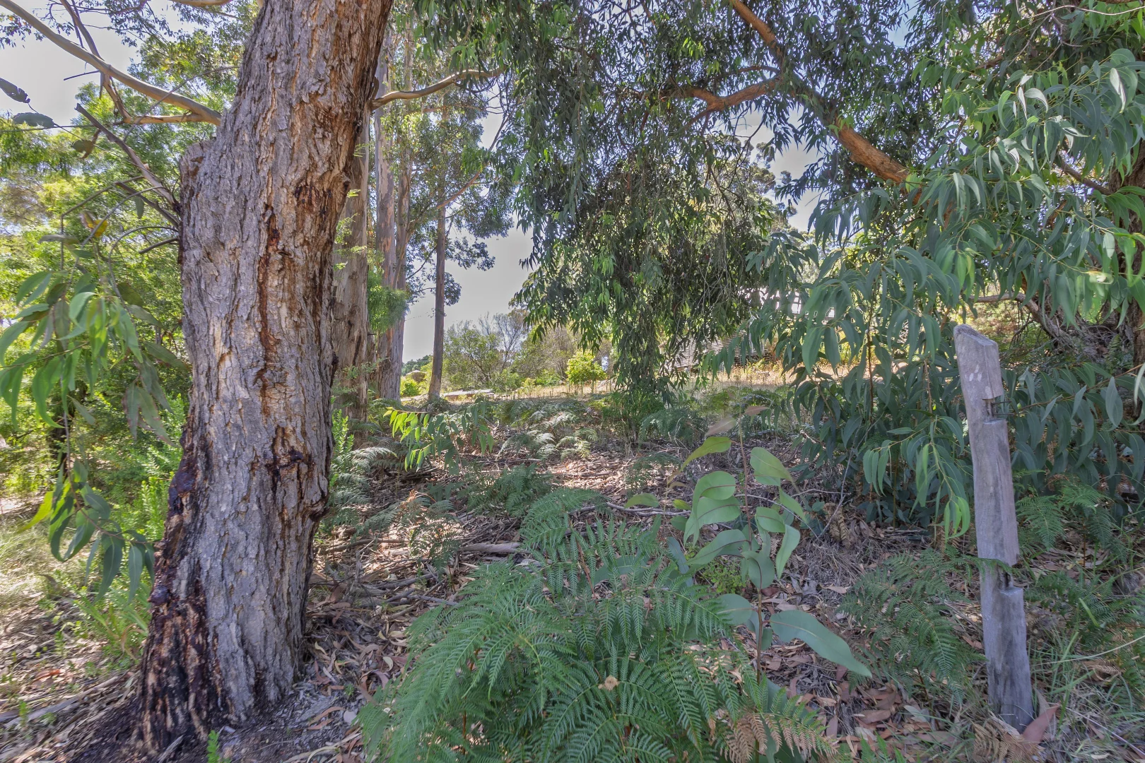 Additional image 7 of 45 Ellis Street, Pemberton WA 6260