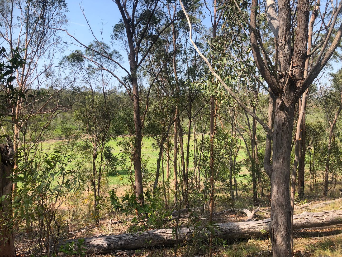 Lot 6 Pipers Road, South Kolan QLD 4670, Image 1