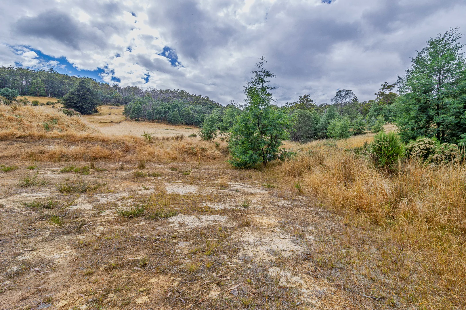 Additional image 24 of Geeveston TAS 7116