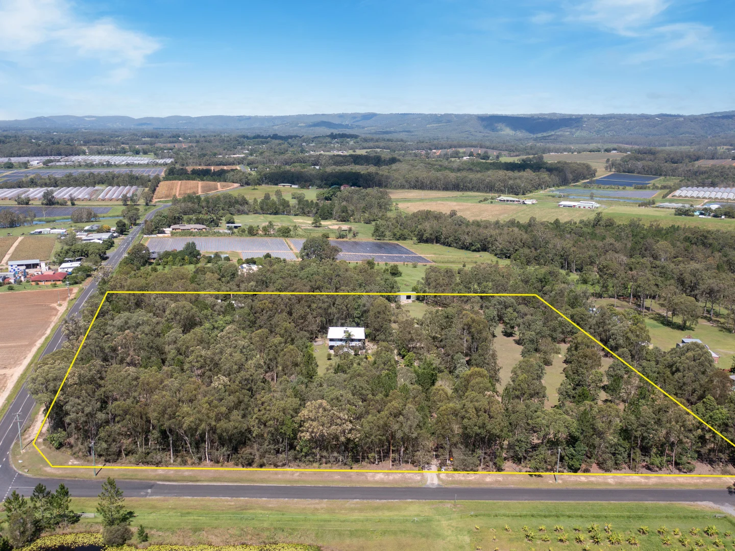 Additional image 42 of 279 Newlands Road, Wamuran QLD 4512