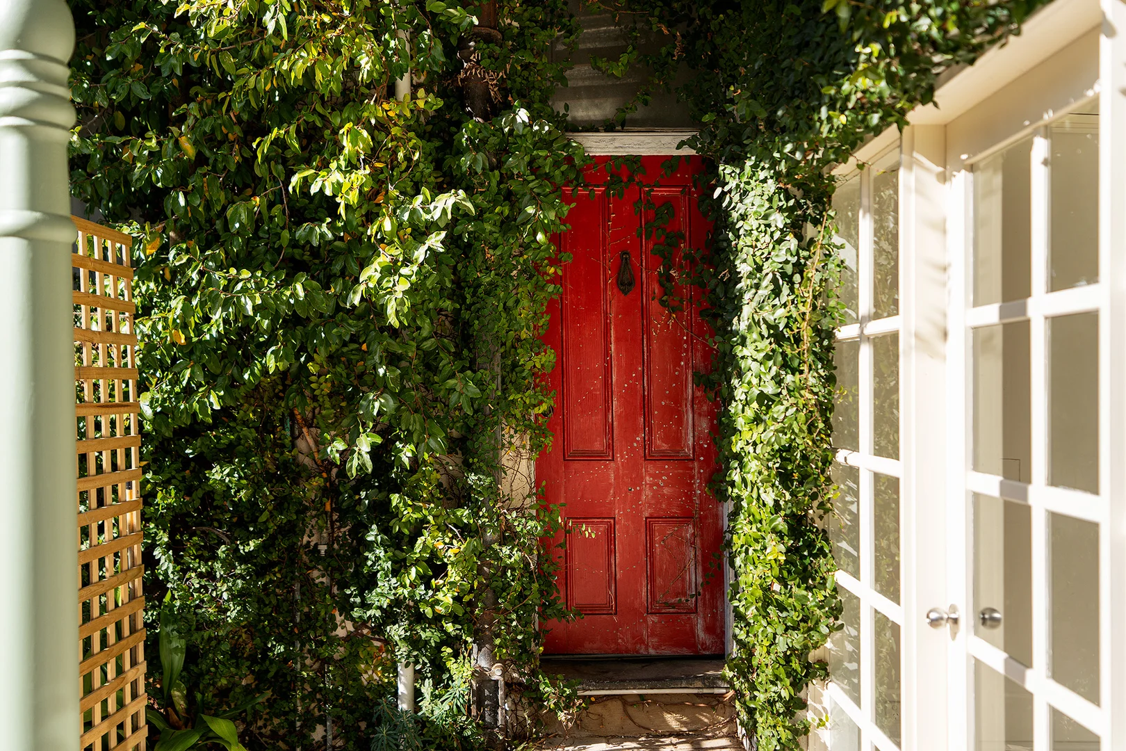 Image 10