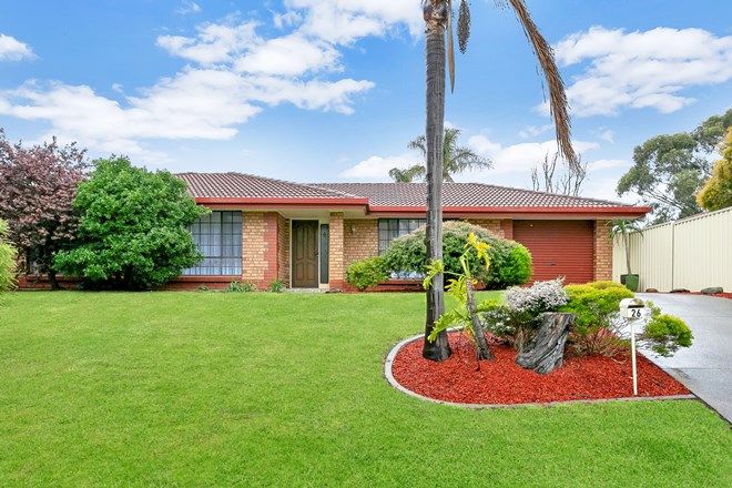 Picture of 26 Jaimey Grove, ABERFOYLE PARK SA 5159