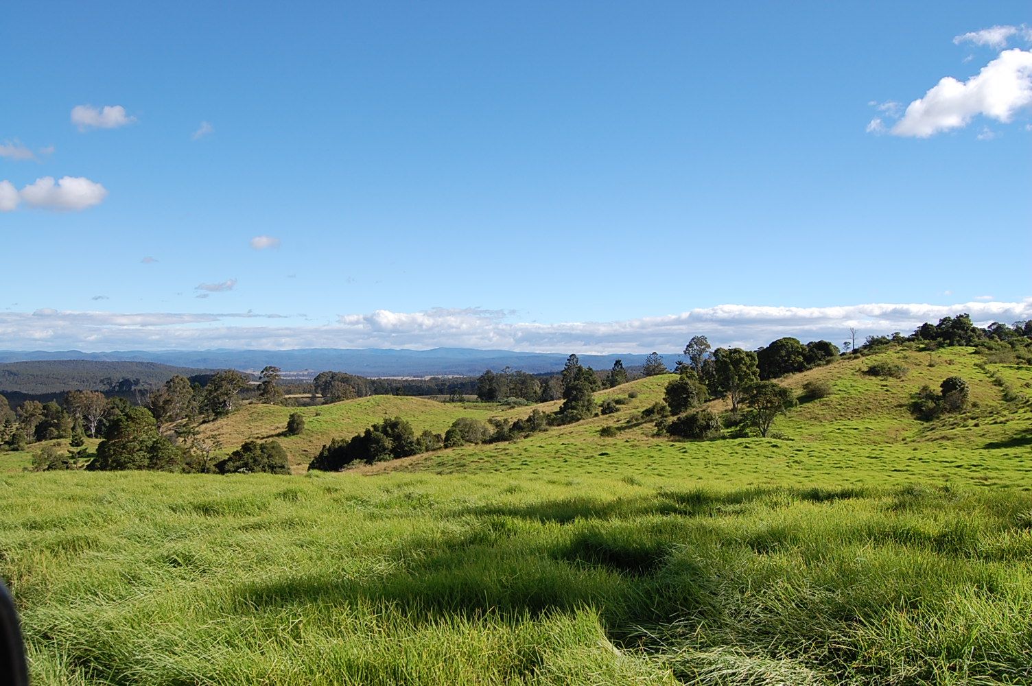 Lot 182 Cookes Lane, BOTTLE CREEK NSW 2469, Image 0