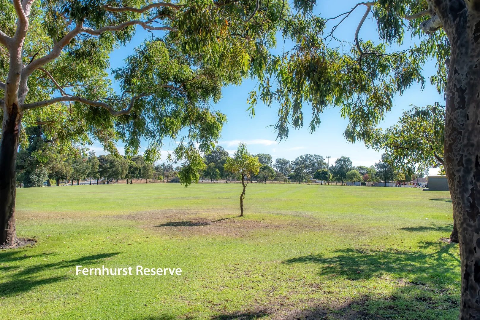 Additional image 6 of 19A Bepton Way, Balga WA 6061