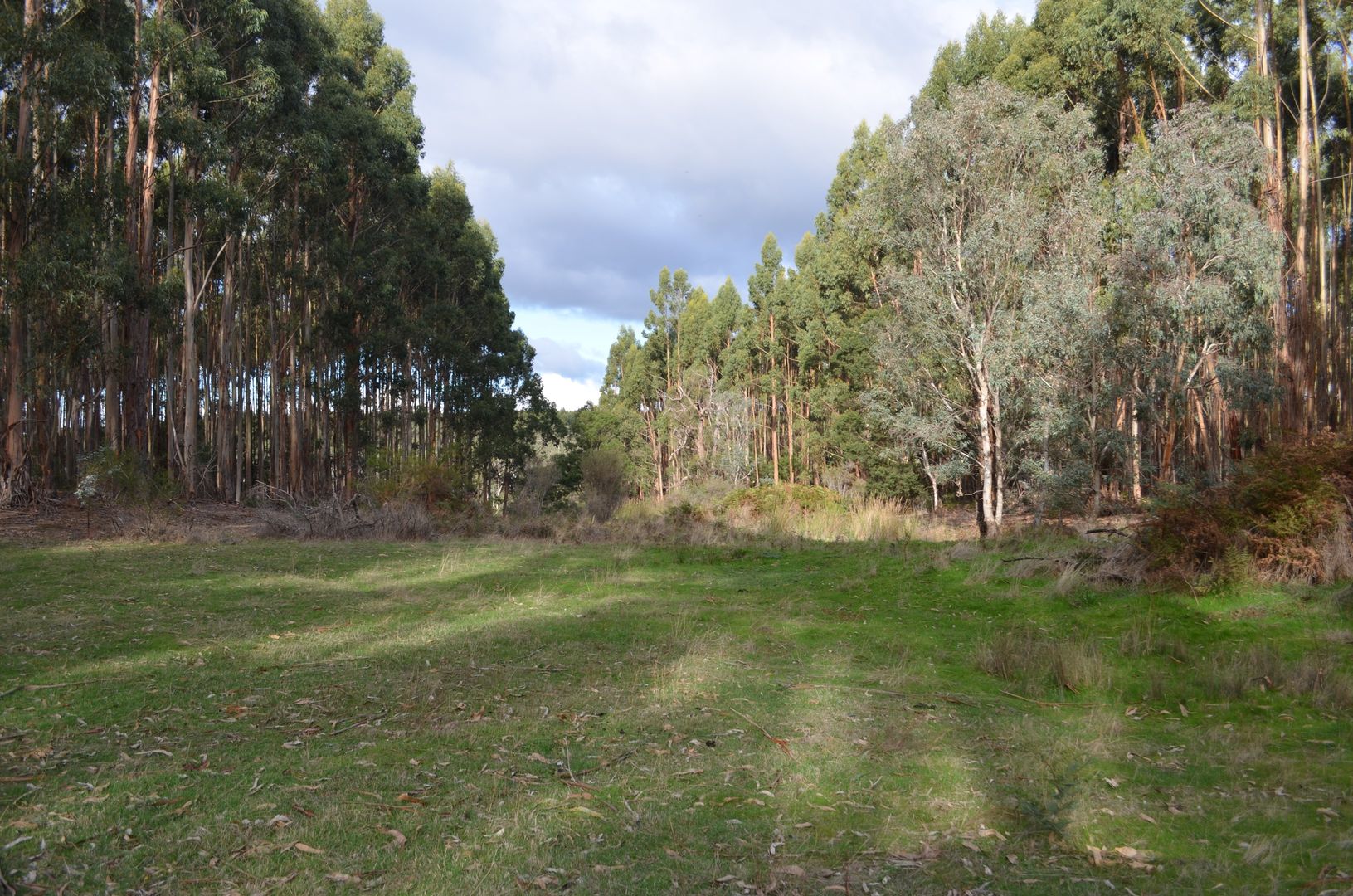 Lot 21 & 23 Casterton-Edenhope Road, Edenhope VIC 3318, Image 2