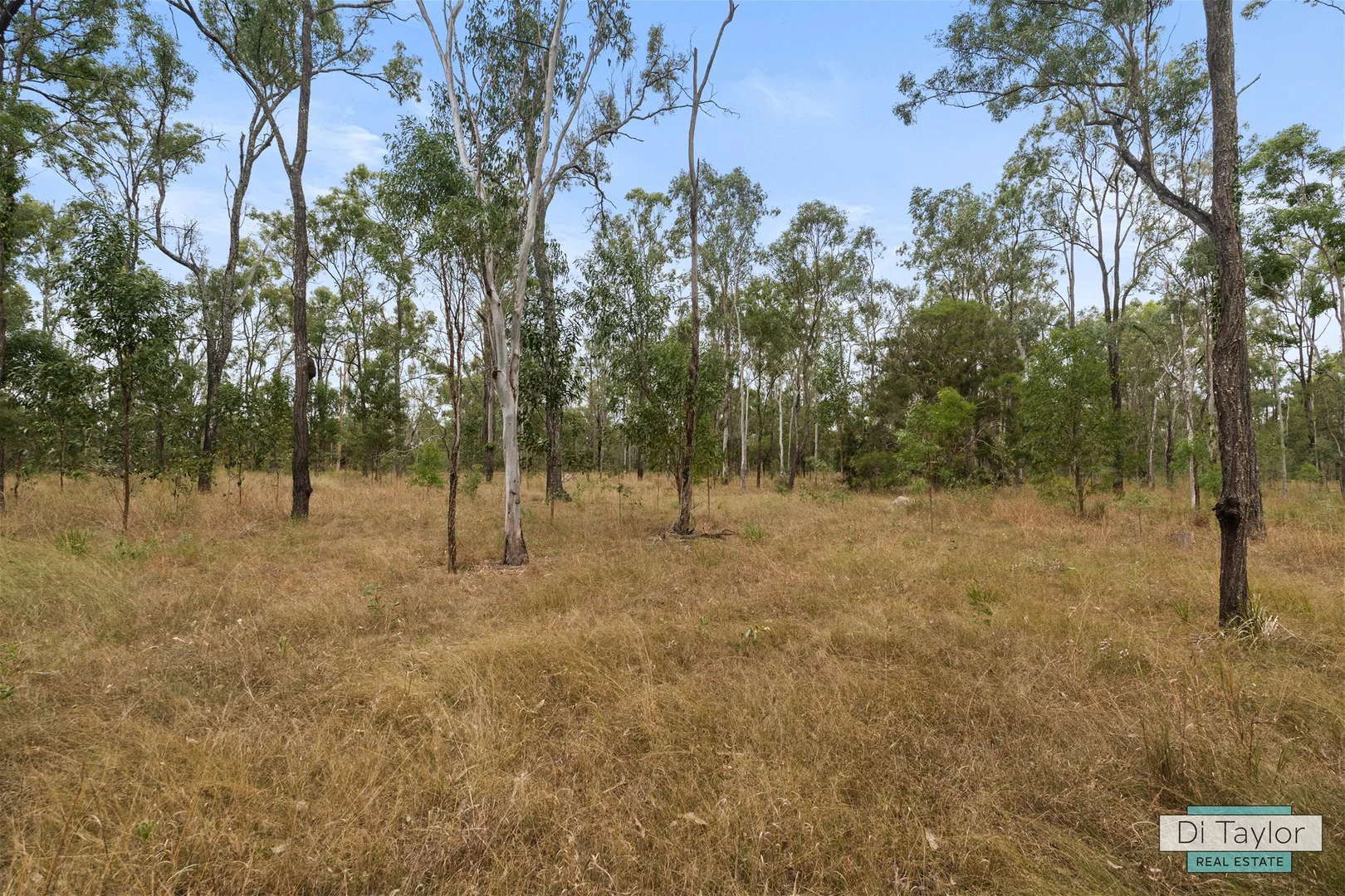 Additional image 19 of 64-92 Tea Tree Ave, Mount Forbes QLD 4340