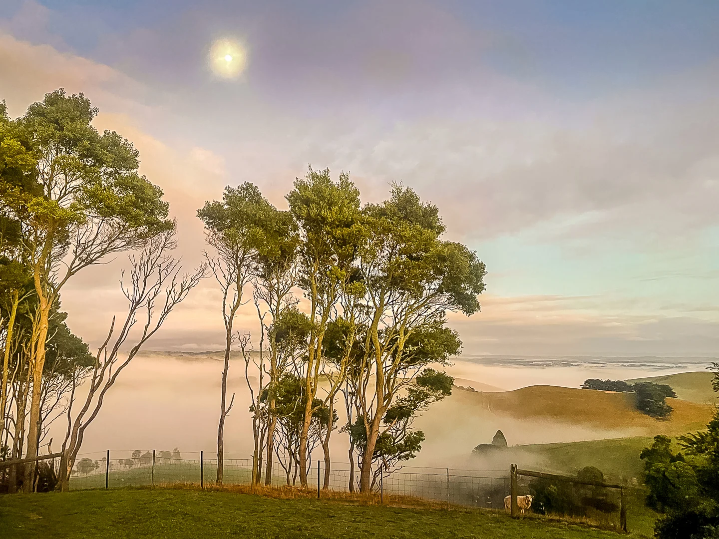 Additional image 21 of 65 Foster-Mirboo Road, Foster North VIC 3960