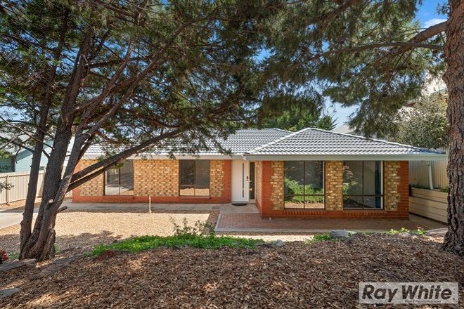 4000 Properties Sold Auction Results In Maslin Beach Sa 5170 Domain