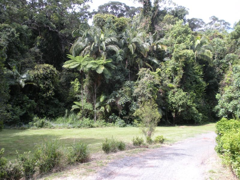 152a Woombye Palmwoods Road, Palmwoods QLD 4555, Image 1