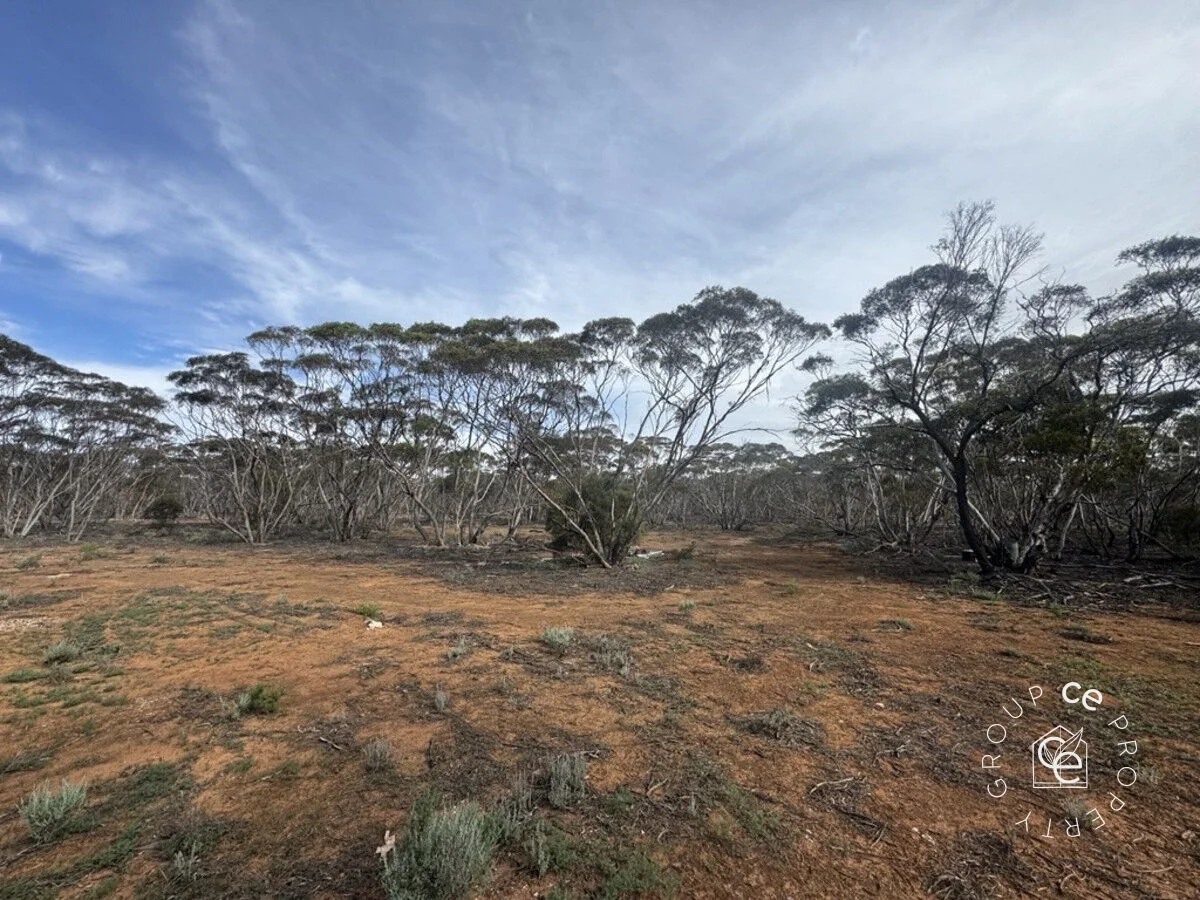 Additional image 11 of Fisher SA 5354