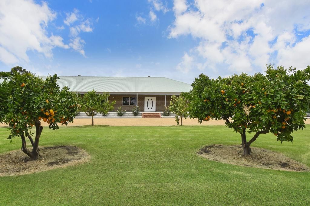 42 Dalgety Road, Middle Swa Property History & Address Research Domain