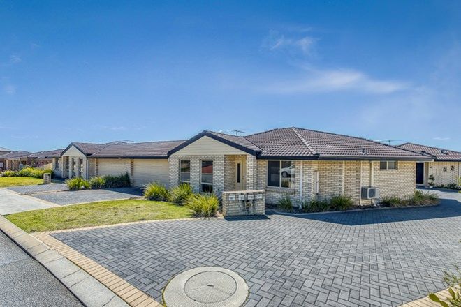 Picture of 2/15 Giudice way, YANGEBUP WA 6164