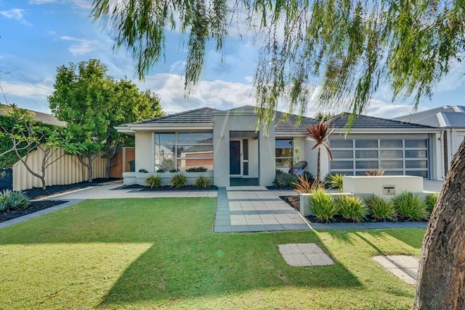 Picture of 8 Nougat Crescent, YALYALUP WA 6280