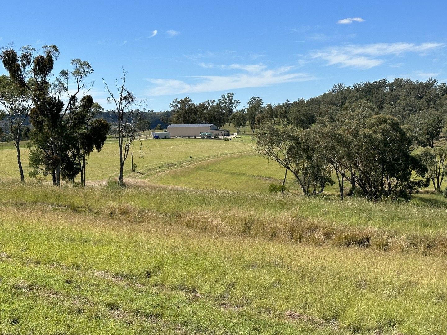 "Longview" 135 Burundah Drive, Warialda NSW 2402, Image 1