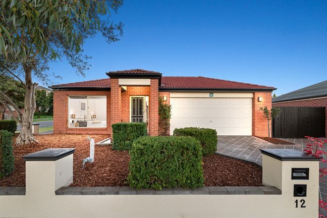 Picture of 12 Rainer Road, SOUTH MORANG VIC 3752