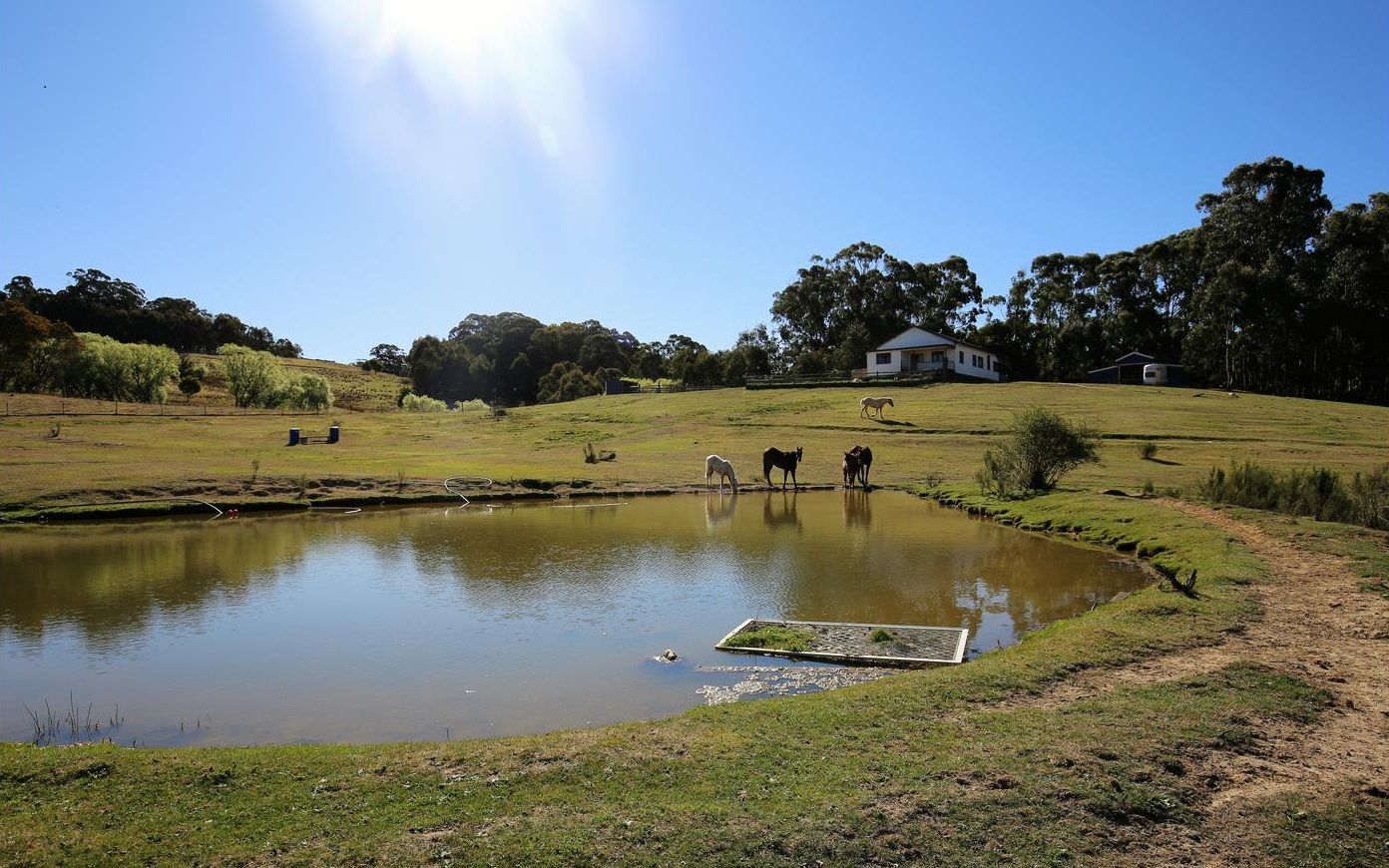 Yetholme NSW 2795, Image 1