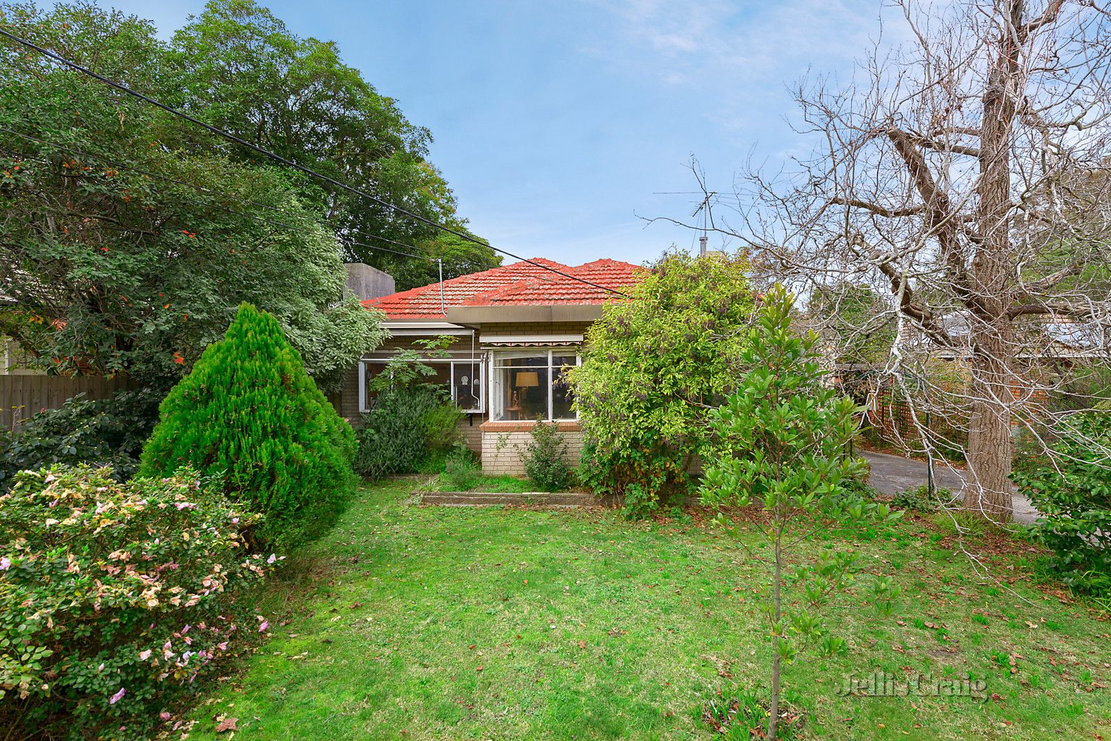 3 Hillside Crescent, Blackburn VIC 3130, Image 0