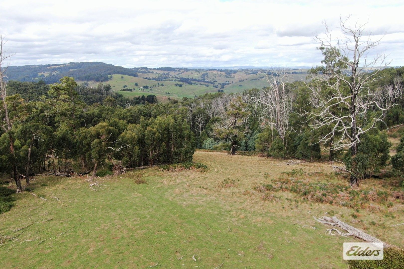 710 Forresters Road, Hallston VIC 3953, Image 0