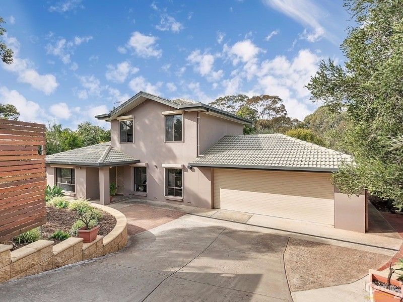 291 Hancock Road, Banksia Park SA 5091, Image 0