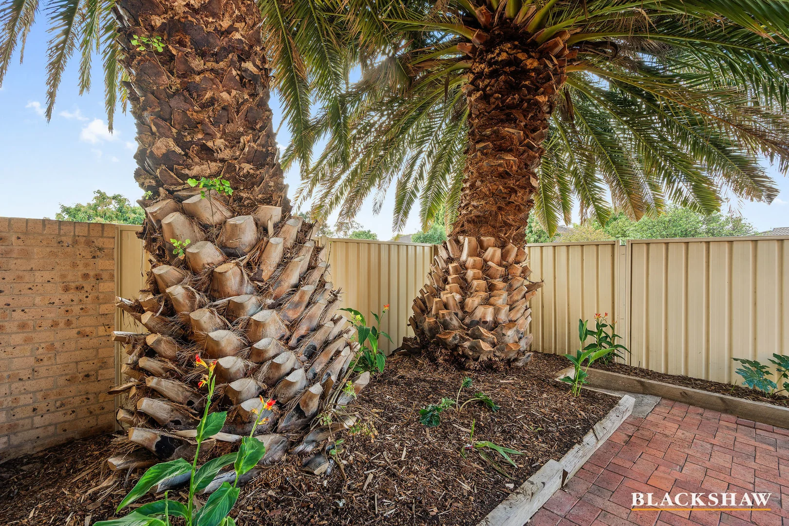 Additional image 18 of 19/166 Clive Steele Avenue, Monash ACT 2904